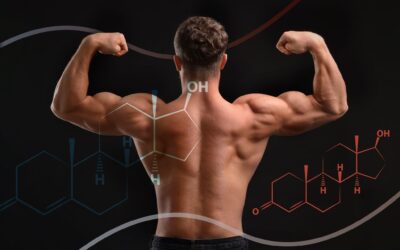 How To Increase Testosterone Naturally